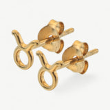 Dainty Taurus Studs