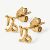 Dainty Capricorn Studs