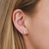 Oval Solitaire Studs