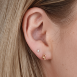 Dainty Leo Studs