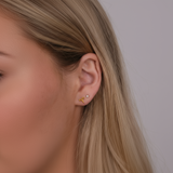 Dainty Aries Studs