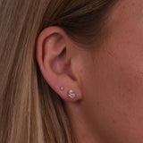 Oval Solitaire Studs
