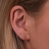 Dainty Sagittarius Studs