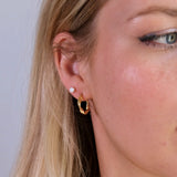Twist Hoops