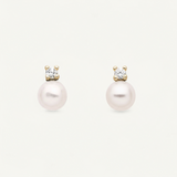 Classic Pearl Drop Studs