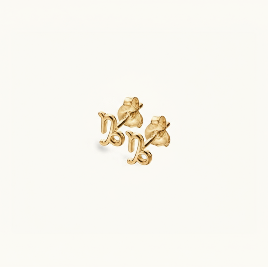 Dainty Capricorn Studs Zodiac Plated Stud Earrings