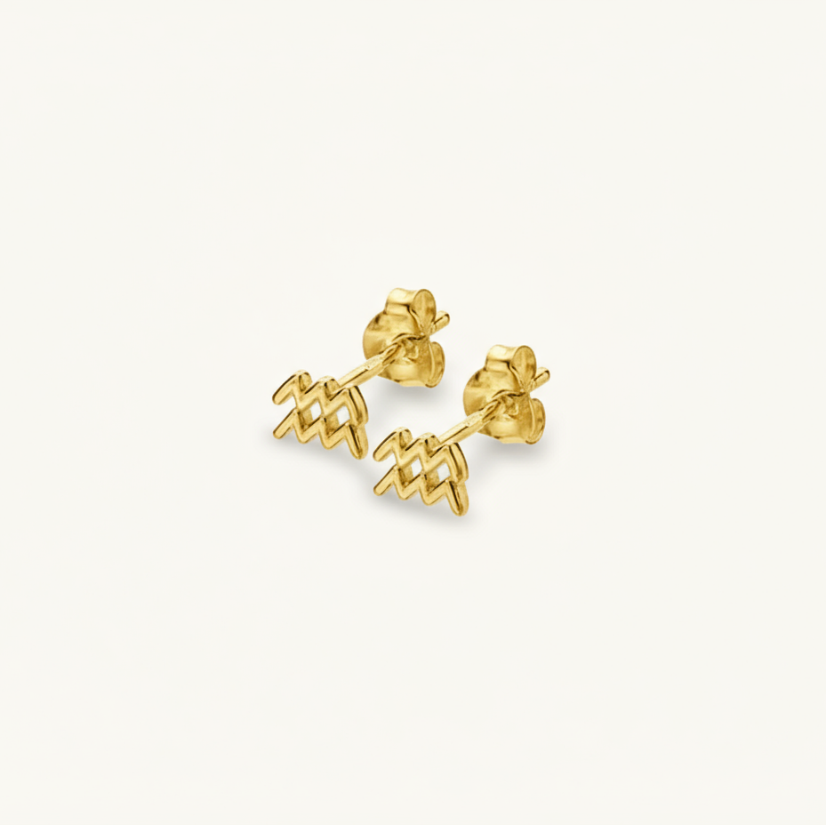 Dainty Aquarius Studs Zodiac Plated Stud Earrings